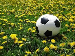 Spring Soccer